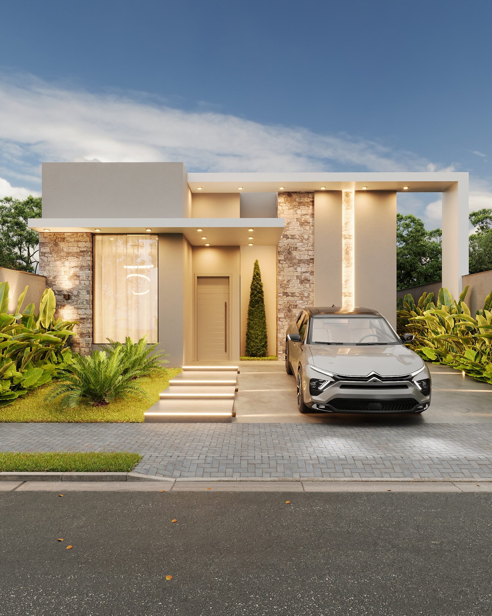 Corona Camera001 (2)