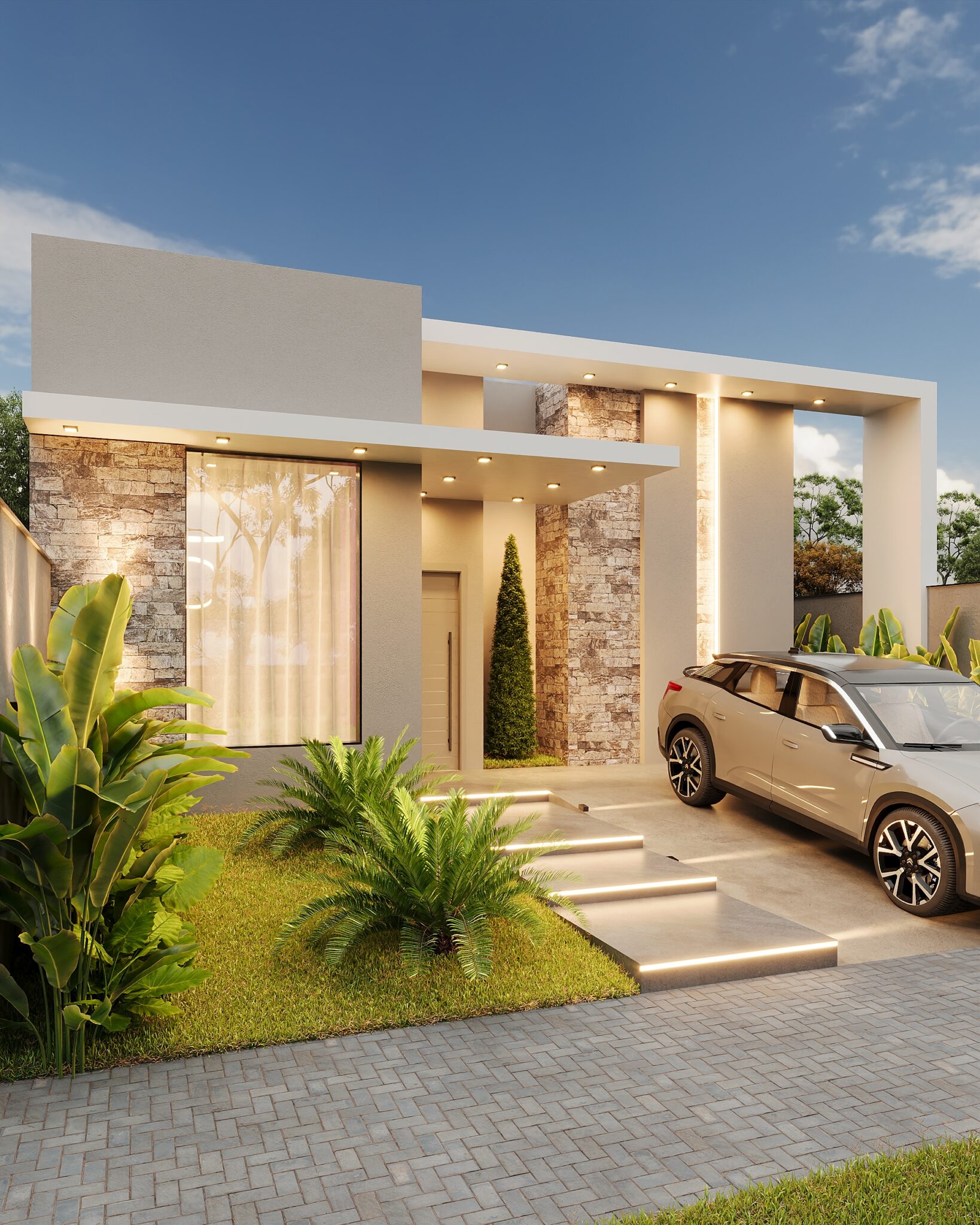 Corona Camera002 (2)