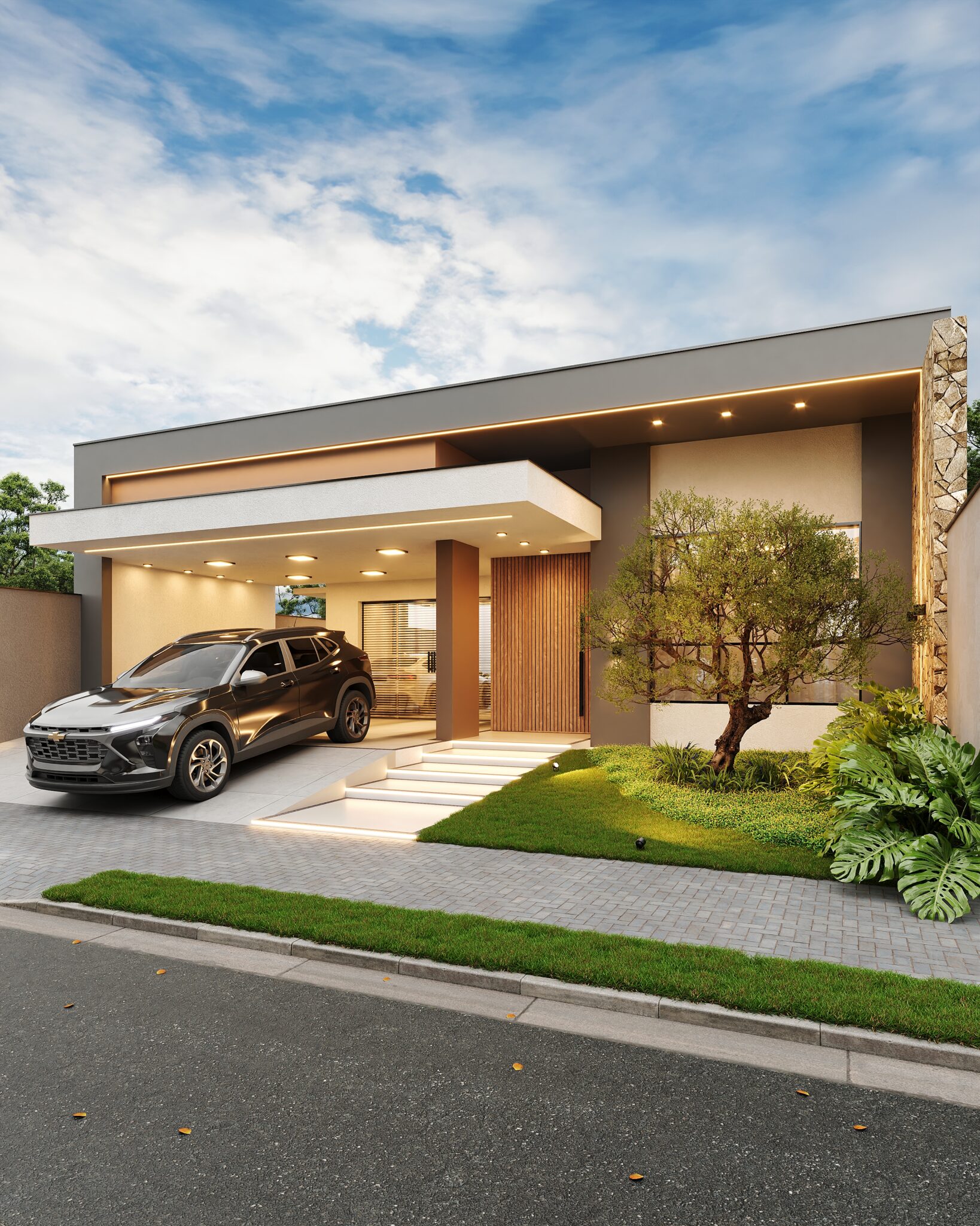 Corona Camera003 (1)