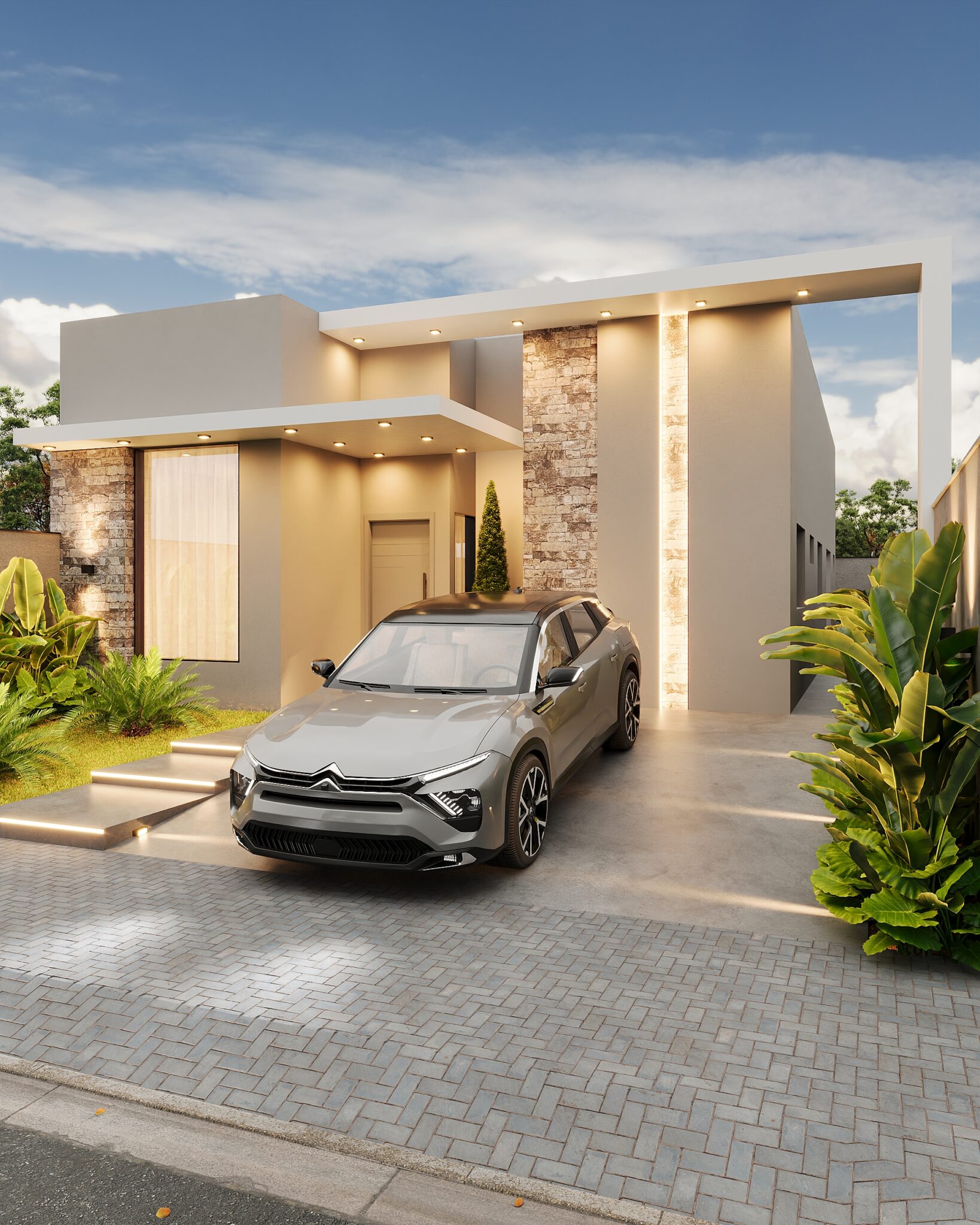 Corona Camera003 (2)